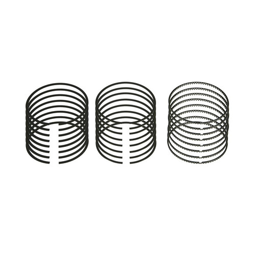 Sealed Power Moly Piston Ring Set LS 6.2L 4.065 Bore (E997K)