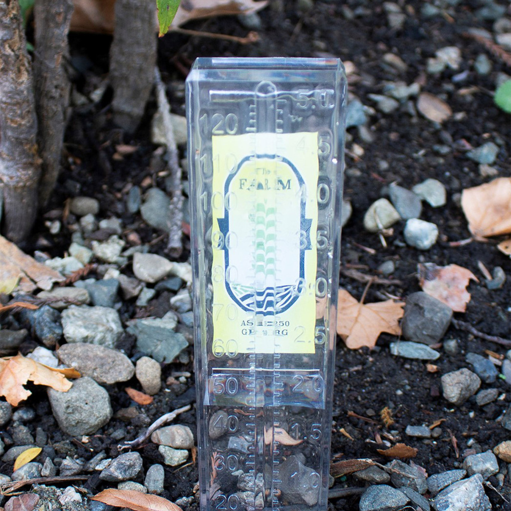 Drizzler 5" Rain Gauge