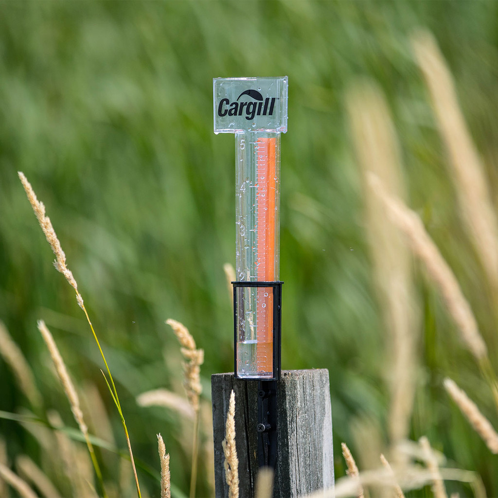 Hammer Head Rain Gauge