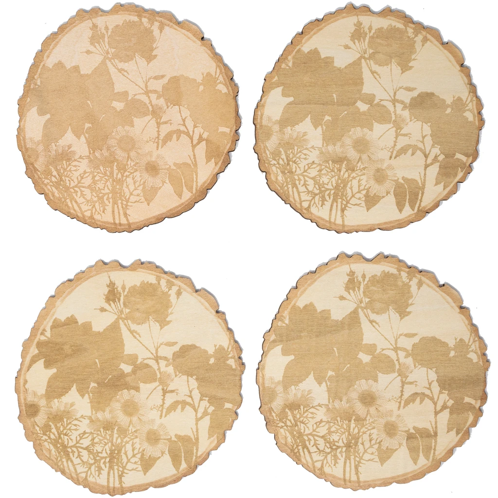 Wood Coasters: Tree Slice:Tree Slice
