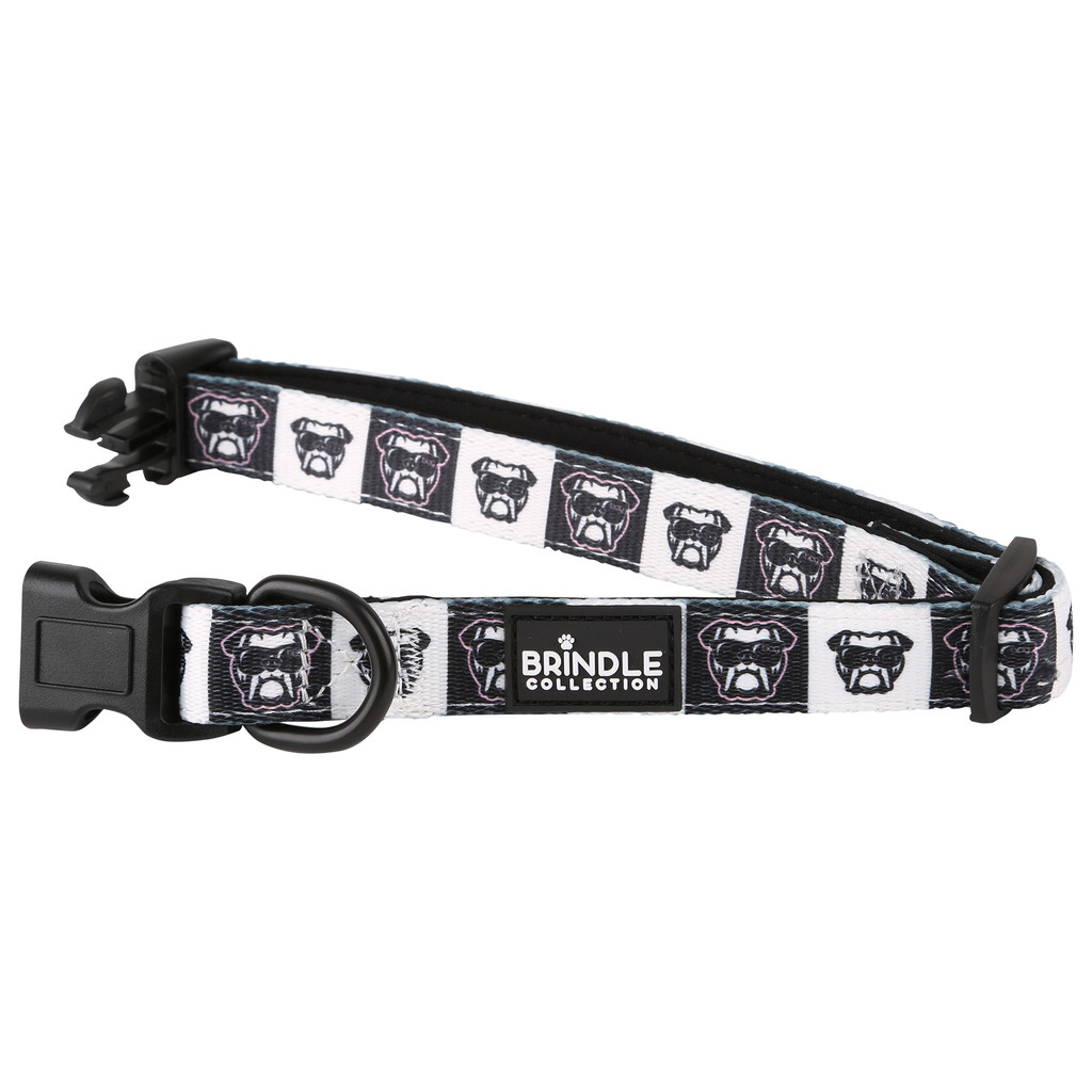 Dog Collar With Neoprene Backing: Large:Large