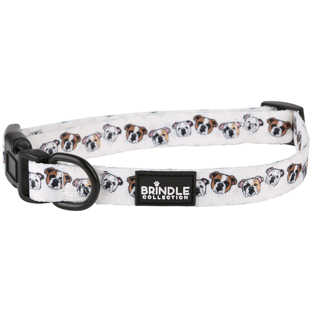 Dog Collar: Medium:Medium