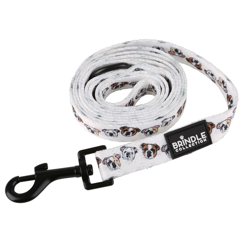 Dog Leash: Wide:Wide