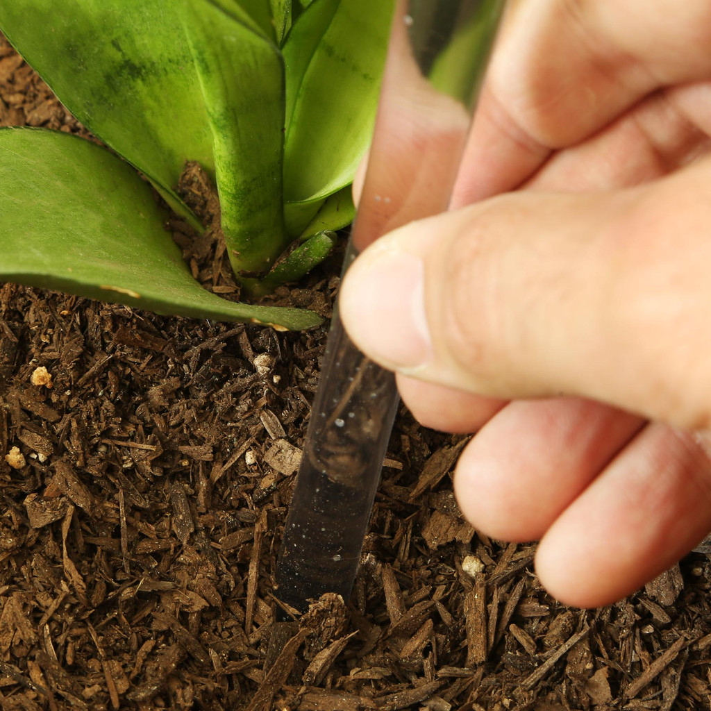 Evergreen Self-Watering Plastic Globe