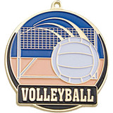 Stock Gold Enamel Sports Medals: Volleyball:Volleyball
