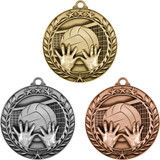 Stock Small Academic & Sports Laurel Medals: Volleyball:Volleyball