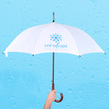 EXECUTIVE UMBRELLA: 48" Arc with Hook Handle