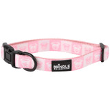 Dog Collar With Neoprene Backing: Extra Small:Extra Small