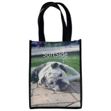 80G Pet Tote Bag: 8" W X 10" H X 4" D:8" W x 10" H x 4" D