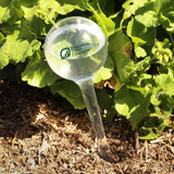 Evergreen Self-Watering Plastic Globe
