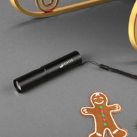 Renew Rechargeable Flashlight (FOB Canada)