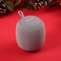Boomberri Wireless Speaker