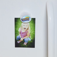 Domed Magnet Clip