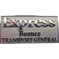 Diestruck Sandblasted Lapel Pins: Copper/Brass 3/4" W X 3/4":Copper/Brass 3/4" W x 3/4" H