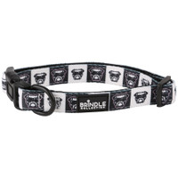 Dog Collar With Neoprene Backing: Large:Large