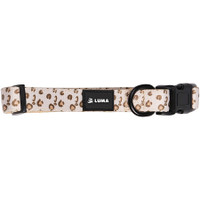 Dog Collar With Neoprene Backing: Large:Large