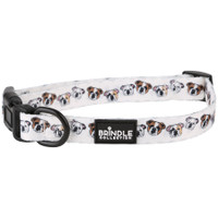 Dog Collar: Medium:Medium