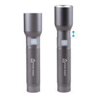 reNew Zoom Rechargeable Flashlight With Case