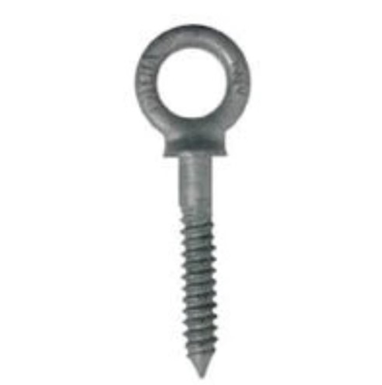 Eye Lag Screw