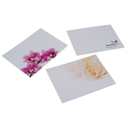 Sympathy Message Cards - PK 100