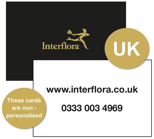 Non-Personalised Business Cards - UK (PK250)