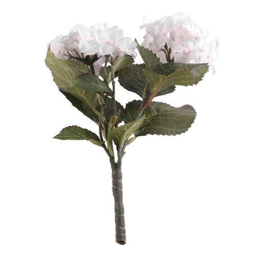 Hydrangea Bush White