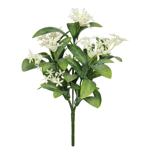 Exterior Everlast Star Flower plant U.V (25cm) Exterior Everlast Star Flower plant U.V (25cm)