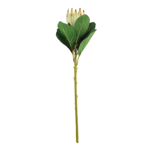 Protea Green (51cm)