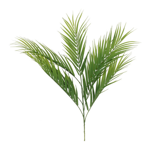 Palm Spray
