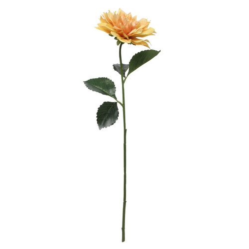 Glamis Single Dahlia Yellow (61cm)