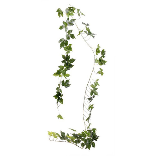 2m Vine Garland (71 lvs) Green