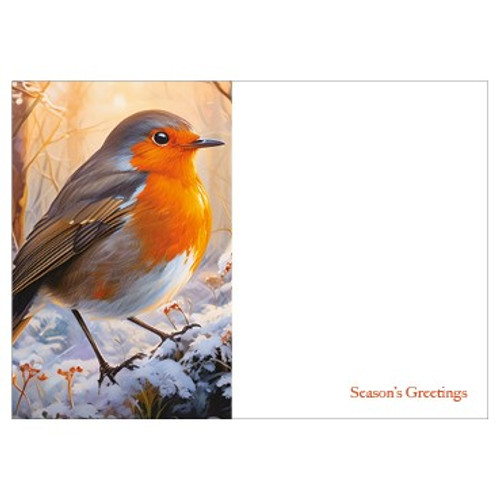 Large Card - Robin - Season's Greetings - Pk6