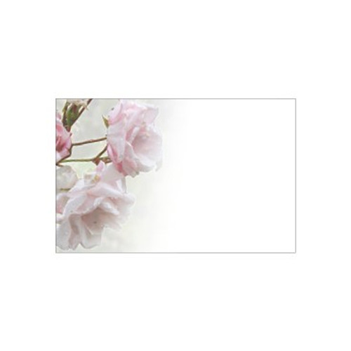 Small Card - No Message - Pale Pink Roses - PK25