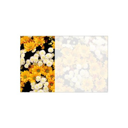 Small Card - No Message - Yellow Chrysanthemums - PK25
