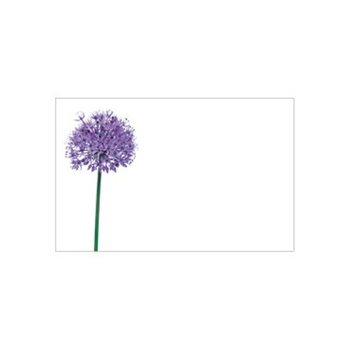 Small Card - No Message - Single Allium - PK25