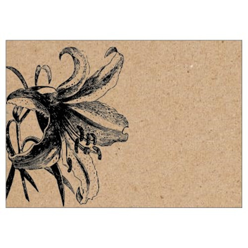 Large Card - No Message - Black Lily on Natural Kraft - PK6
