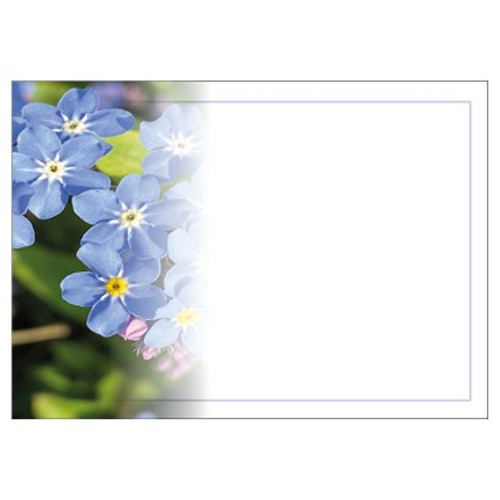 Large Card - No Message - Forget Me Not - PK6