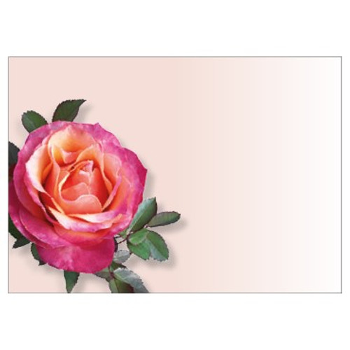 Large Card - No Message - Pink Rose - PK6