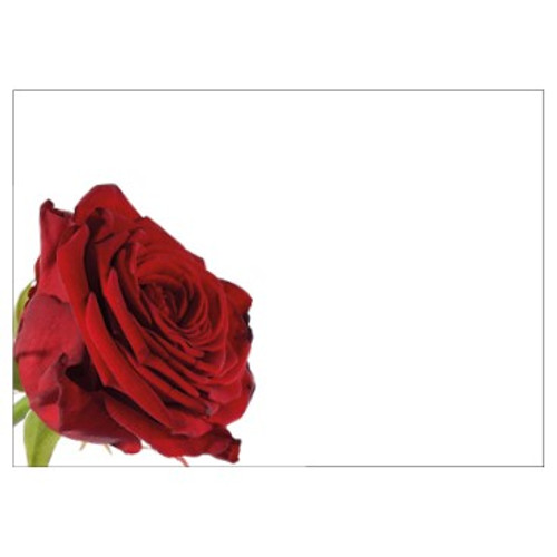 Large Card - No Message - Red Rose -PK6