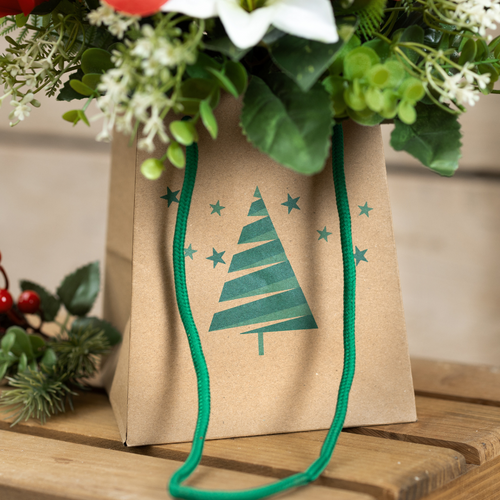 Starry Green Kraft Gift Bag (15cm x 18cm H)