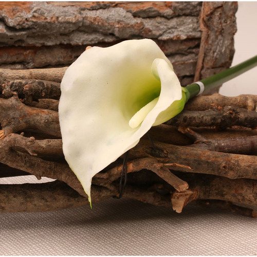 Medium Calla Lily Cream/Green