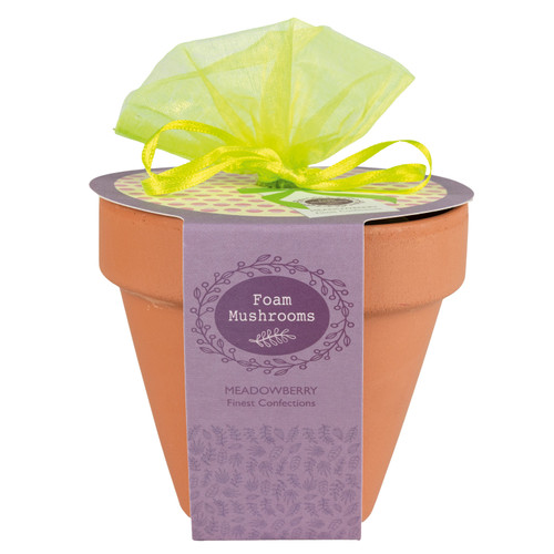 Meadowberry Terracotta Flower Pot with Foam Mushroom Sweets
