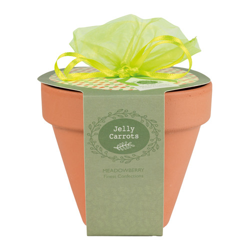 Meadowberry Terracotta Flower Pot with Jelly Carrot Sweets