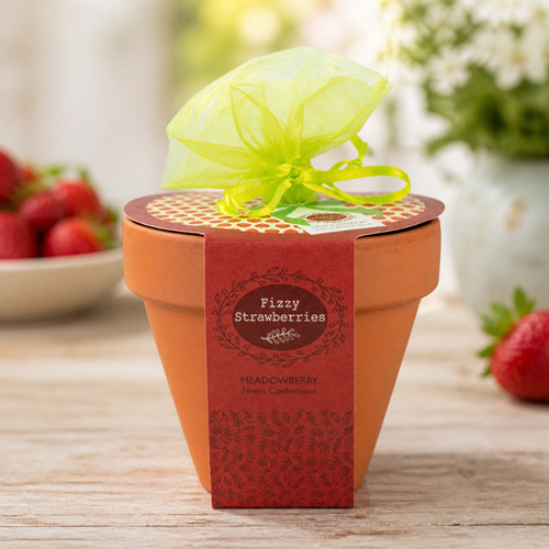 Meadowberry Terracotta Flower Pot with Fizzy Strawberry Sweets