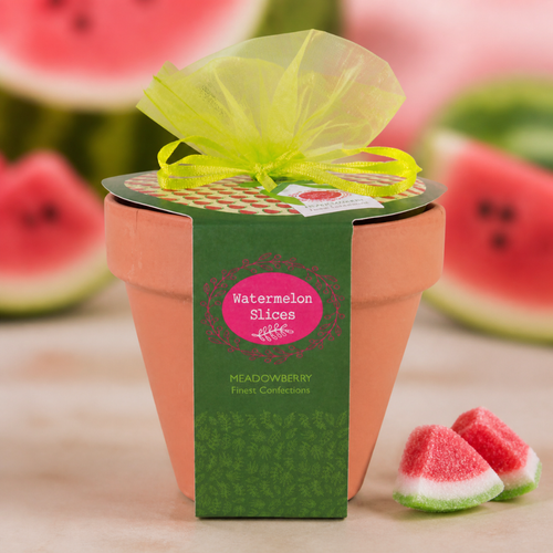 Meadowberry Terracotta Flower Pot with Watermelon Slice Sweets