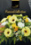 Funeral Collection Brochure (20 pack)