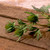 Thistle Spray Green (66cm)