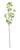 Tintagel Wild Berry Spray Light Pink