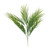 Palm Spray