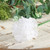 White Carnations (12 stems)